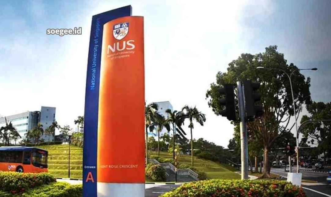 Sistem Terbaik di Singapura Tahun 2025 Investasi, Kualitas